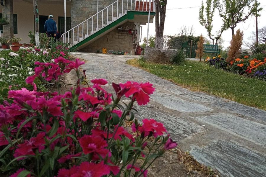 Pālampur Nagri Resort المظهر الخارجي الصورة