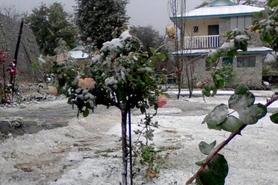 Pālampur Nagri Resort المظهر الخارجي الصورة