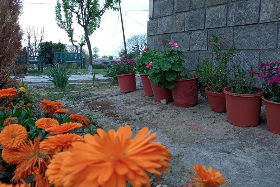 Pālampur Nagri Resort المظهر الخارجي الصورة