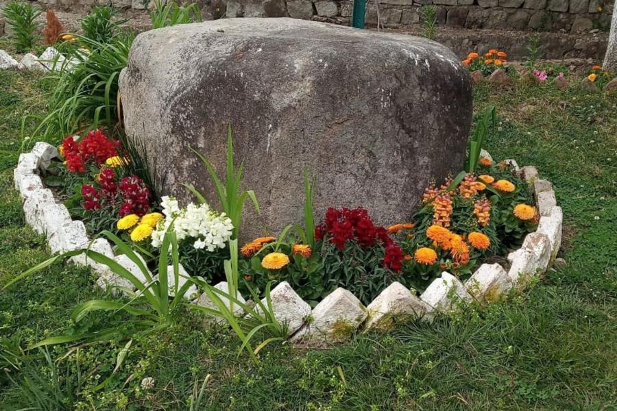 Pālampur Nagri Resort المظهر الخارجي الصورة