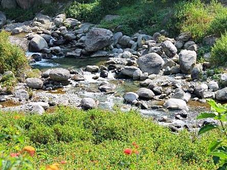 Pālampur Nagri Resort المظهر الخارجي الصورة